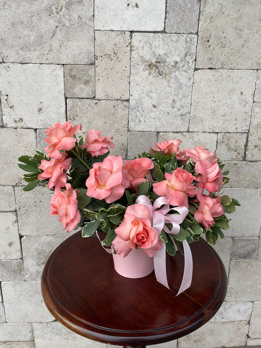 Rosas abiertas